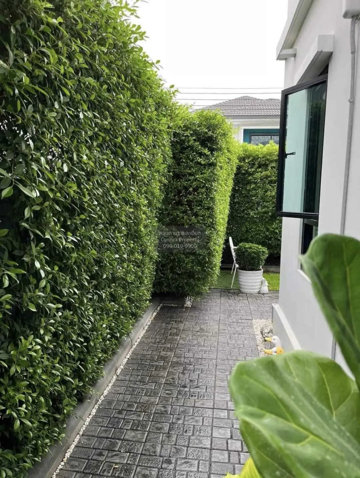 ขายบ้าน  ดีไลท์ รัตนาธิเบศร์ – ท่าอิฐ ท่าอิฐ ปากเกร็ด นนทบุรี CX- 3