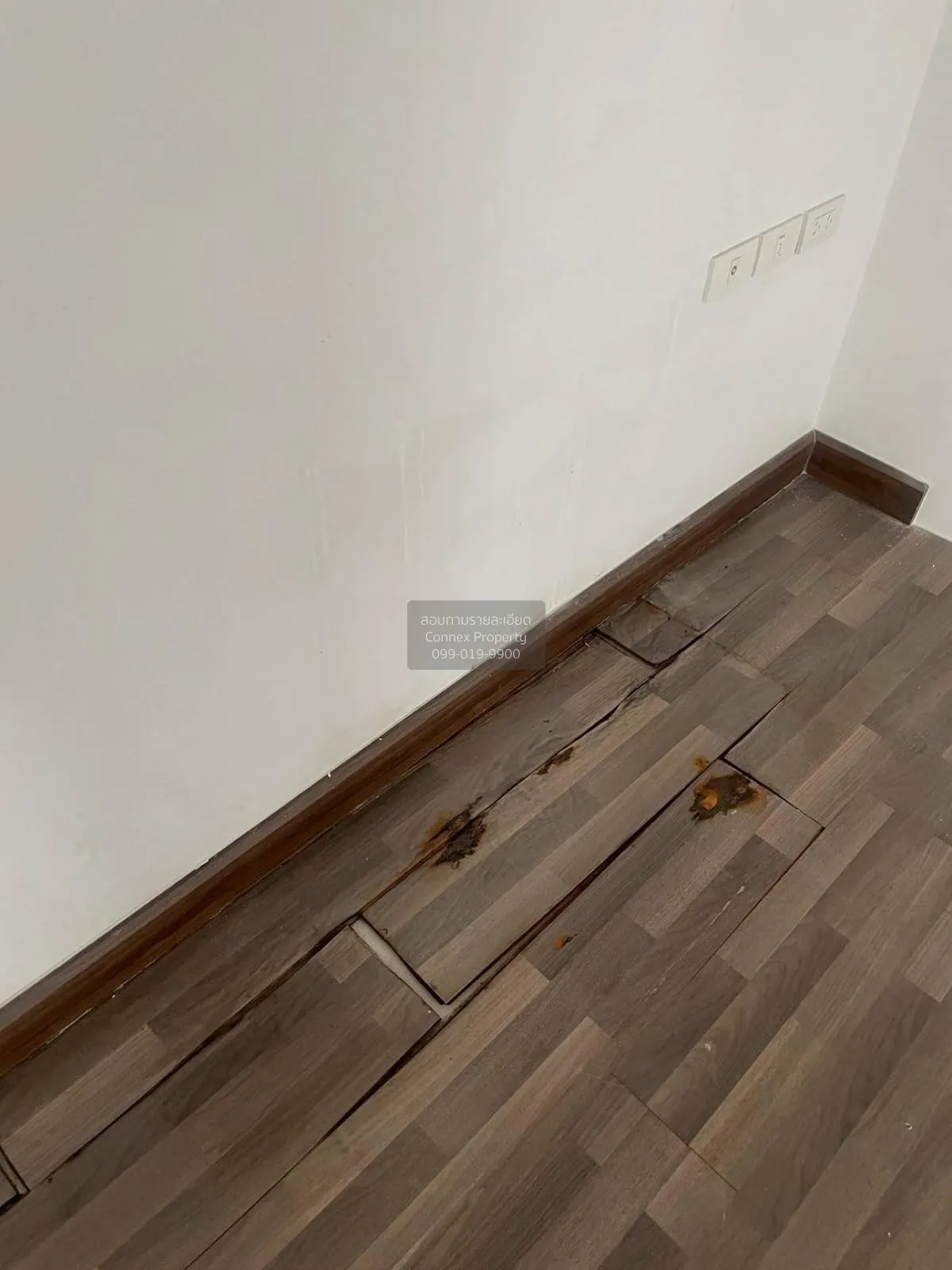 ขายโฮมออฟฟิศ  เดอะ วัน บางนา 1 ดอกไม้ เขต ประเวศ กรุงเทพ CX-12357 3