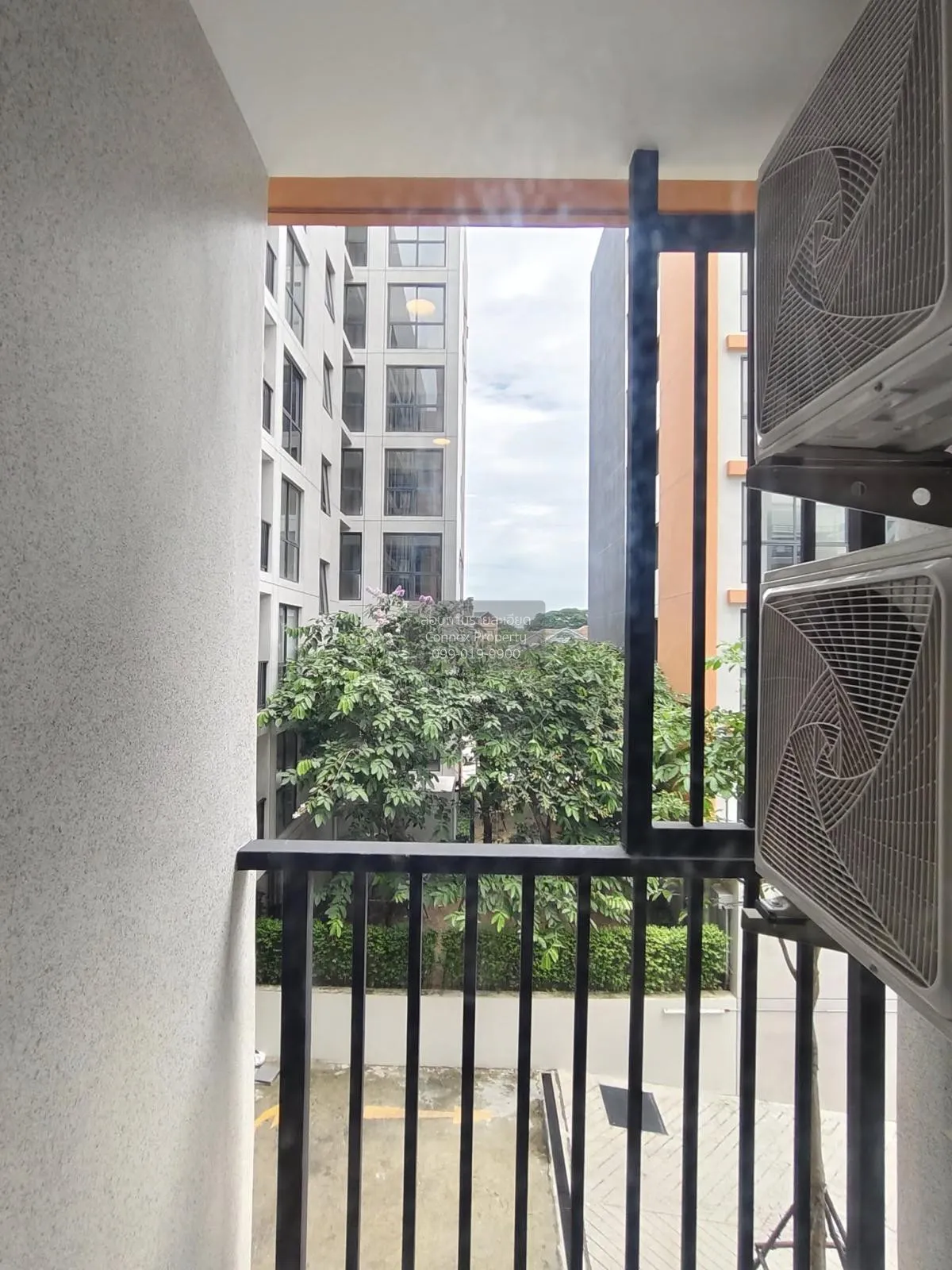 เช่าคอนโด  รีเกิล ศรีนครินทร์ 40 หนองบอน เขต ประเวศ กรุงเทพ CX-12