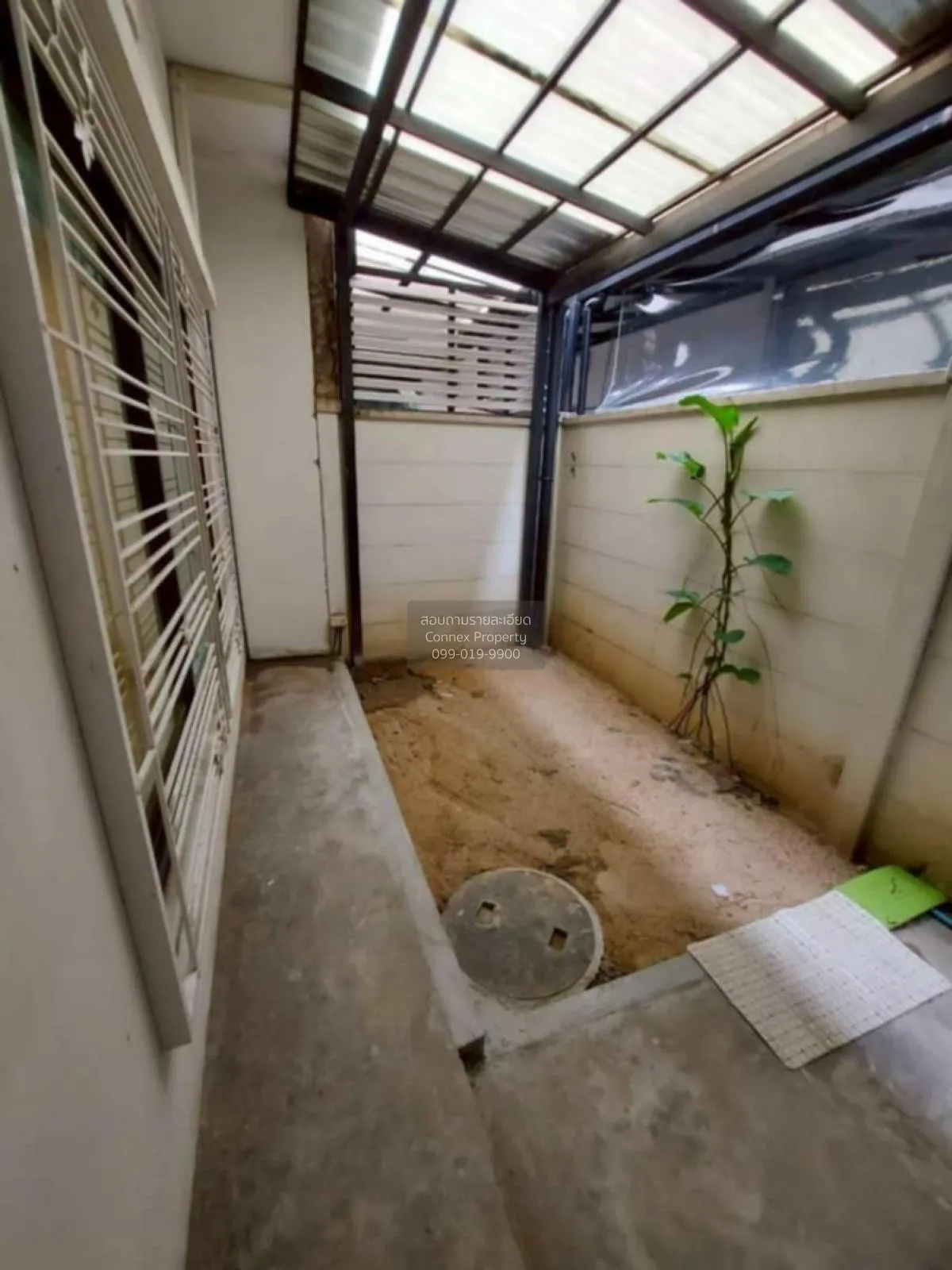 เช่าทาวน์เฮ้าส์/ทาวน์โฮม  เพล็กซ์ บางนา หน้ากว้าง บางแก้ว บางพลี 