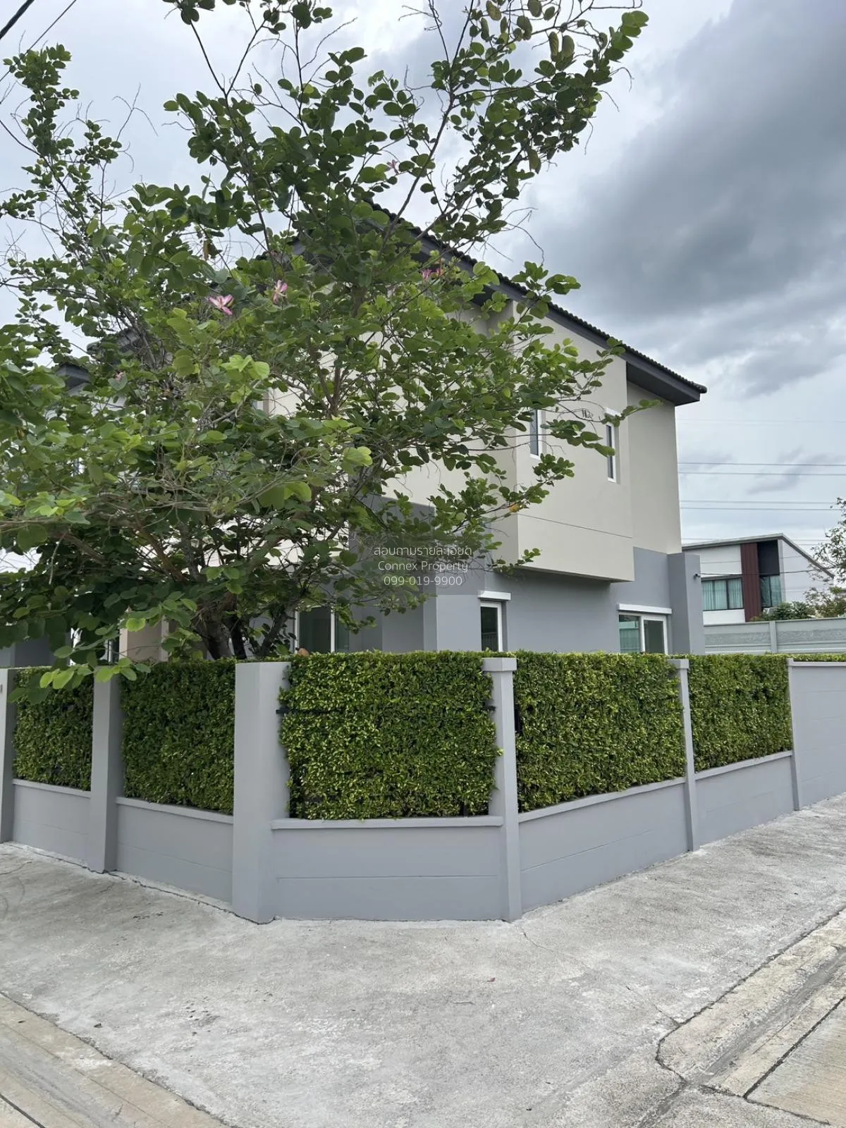 ขายบ้าน  พลีโน่ ปิ่นเกล้า - จรัญฯ 2 MRT-สิรินธร วัดชลอ บางกรวย นน 2