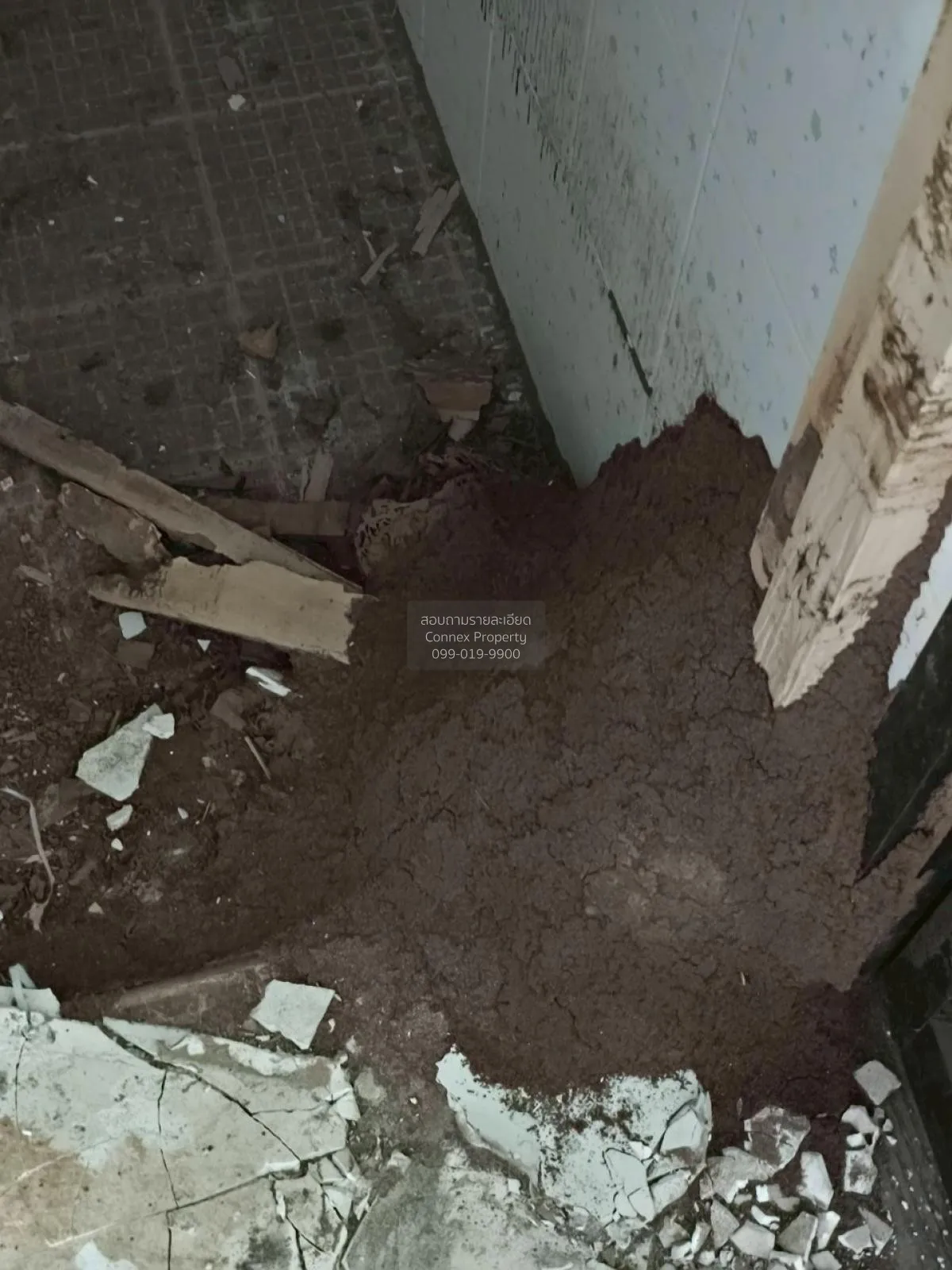 ขายบ้าน  บ้านพฤกษา 4 นครชัยศรี มหาสวัสดิ์ พุทธมณฑล นครปฐม CX-1245