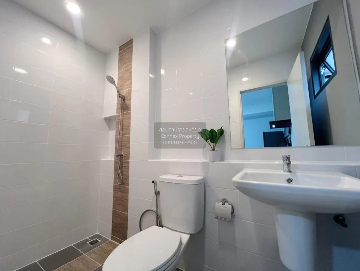 เช่าทาวน์เฮ้าส์/ทาวน์โฮม  พลีโน่ สุขุมวิท - บางนา 2 บางพลี บางพลี 4