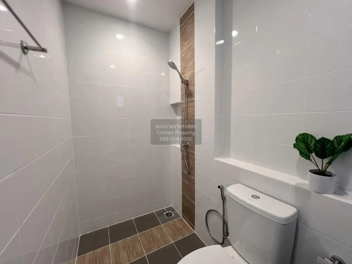 เช่าทาวน์เฮ้าส์/ทาวน์โฮม  พลีโน่ สุขุมวิท - บางนา 2 บางพลี บางพลี