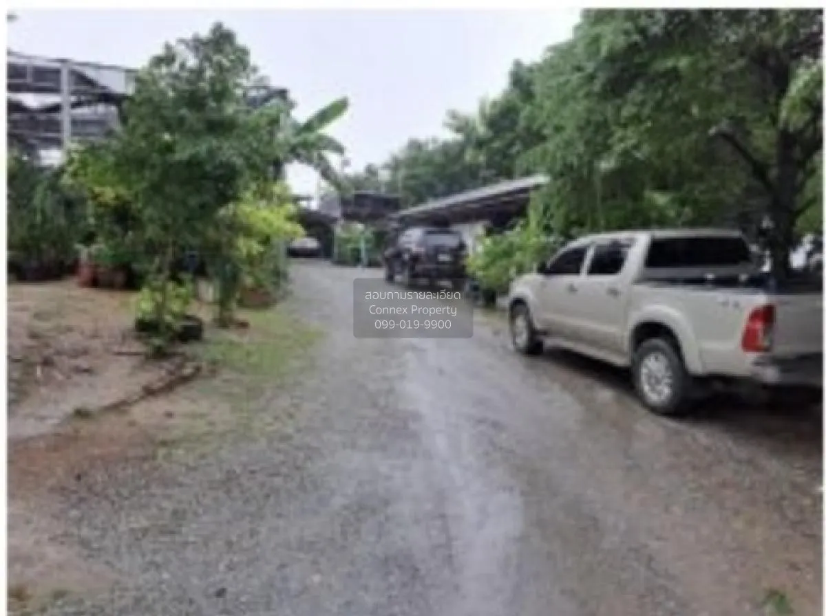 For Sale 1 - storey detached house area 1 rai Plaeng Daeng Rayong 2