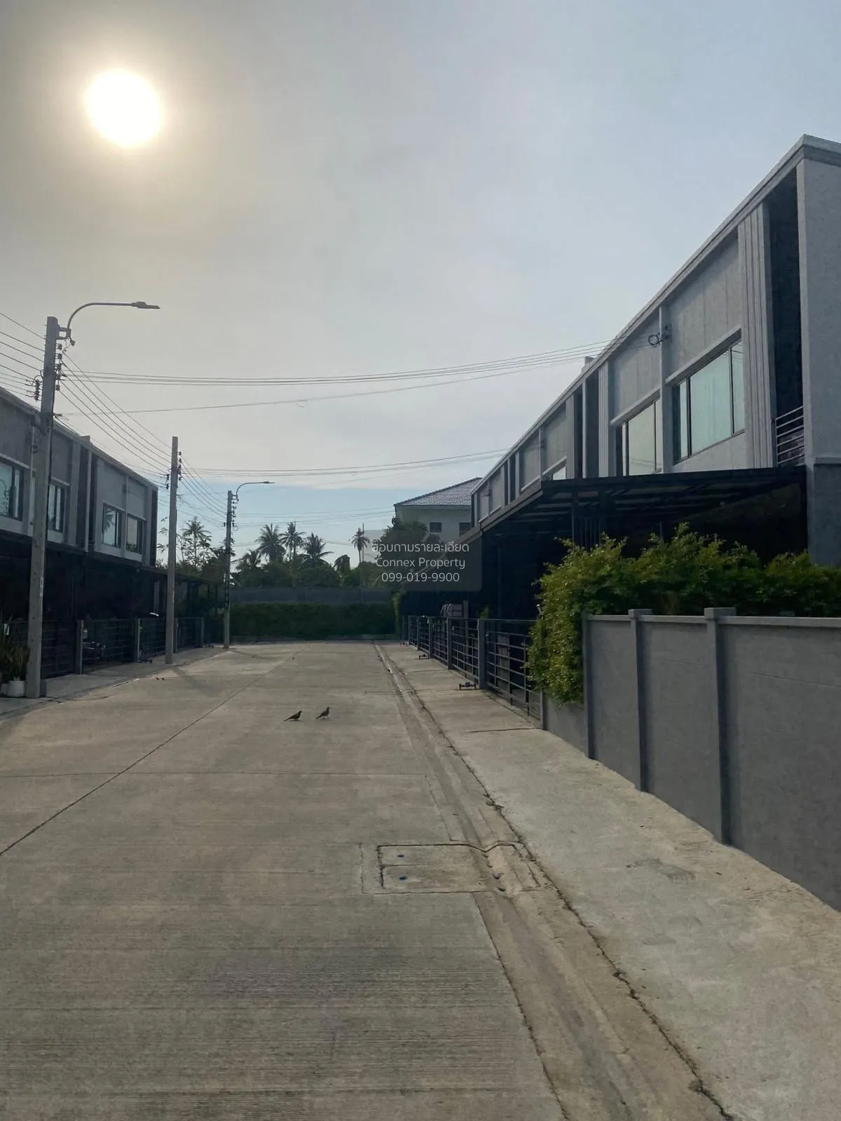 ขายทาวน์เฮ้าส์/ทาวน์โฮม  พลีโน่ ปิ่นเกล้า - จรัญฯ 3 ห้องมุม มหาสว 2