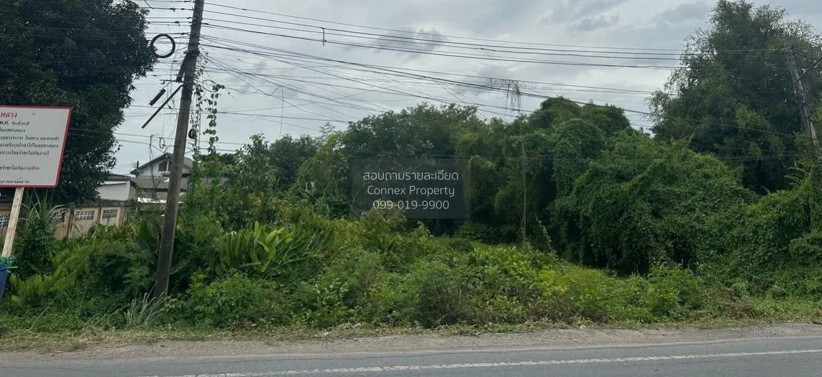 ขายที่ดินเปล่า 221 ตรว. สวนพริกไทย เมืองปทุมธานี ปทุมธานี CX-1257 1