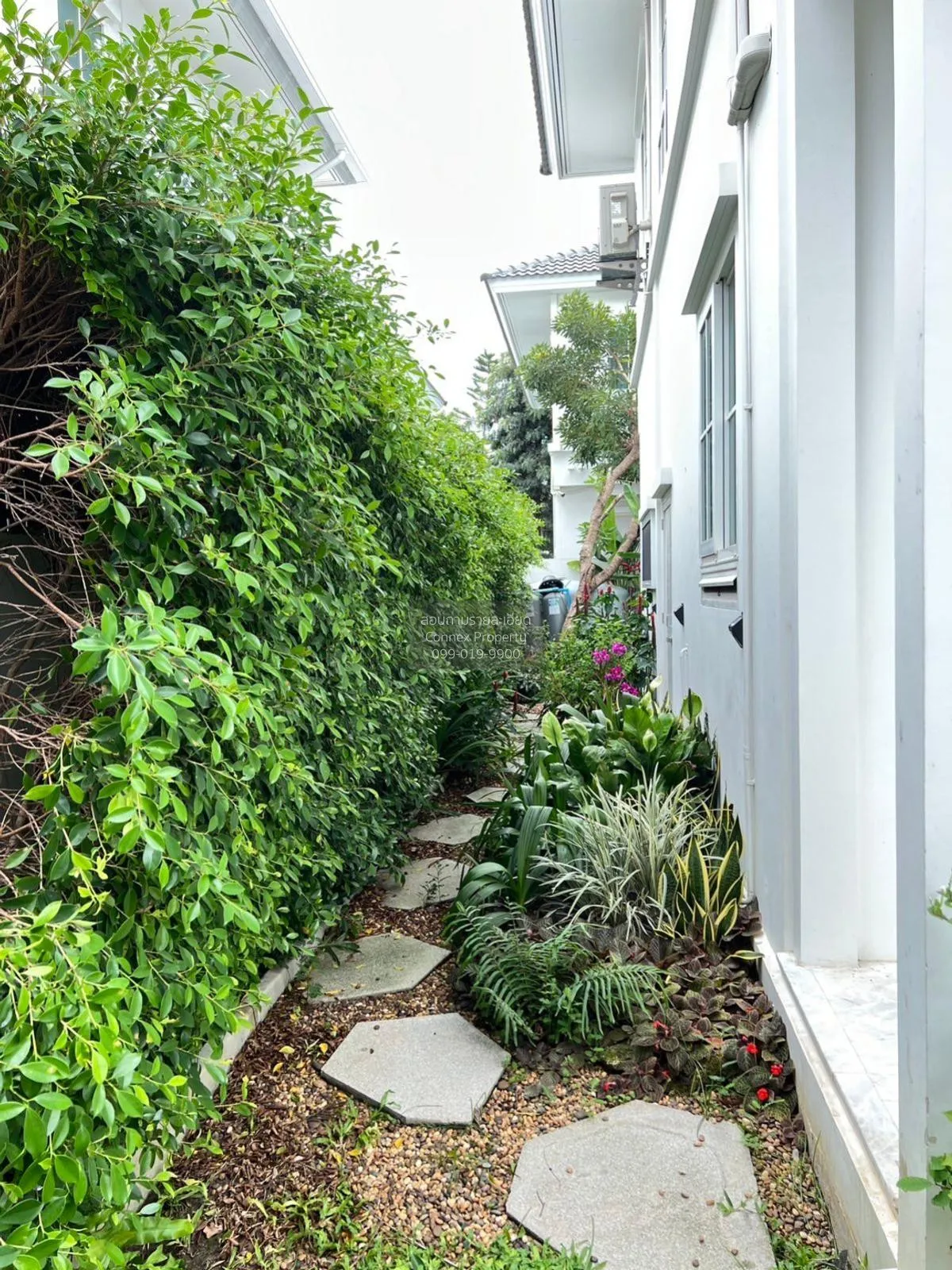 ขายบ้าน  ชัยพฤกษ์ บางนา กม. 15 บางโฉลง บางพลี สมุทรปราการ CX-1258