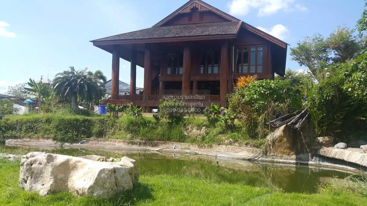 For Sale Land with buildings area 1167-2-55.1 Klaeng Rayong , Tha 3