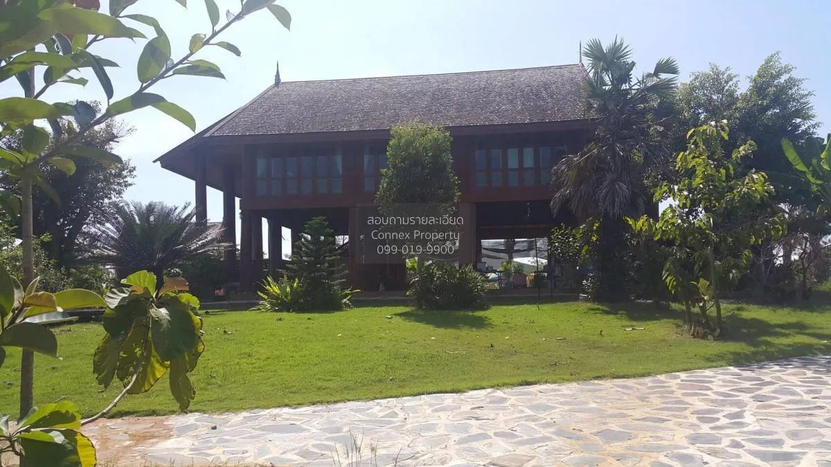 For Sale Land with buildings area 1167-2-55.1 Klaeng Rayong , Tha 4