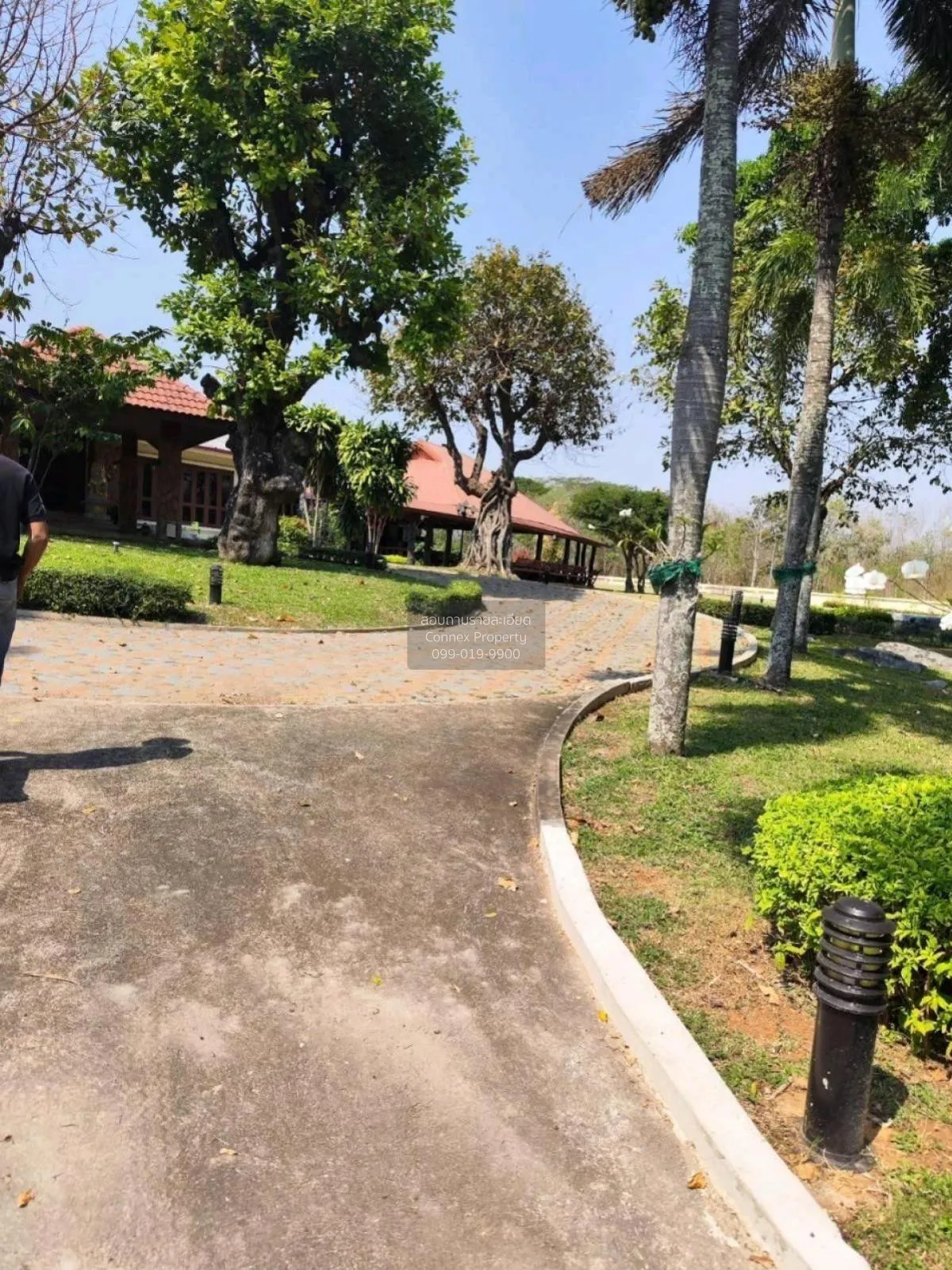 ขายบ้านพักตากอากาศเขาใหญ่  9.3 ไร่  ขนงพระ ปากช่อง นครราชสีมา CX- 4