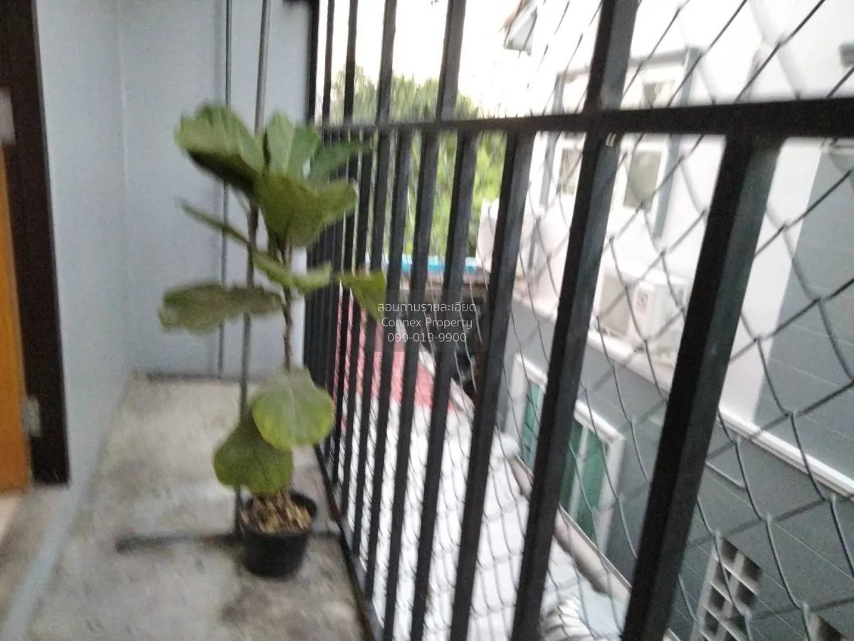 เช่าตึกแถว 3 ชั้น หมู่ 5 หน้าหมู่บ้านพิมพาภรณ์ 4 อ.เมือง ชลบุรี บ