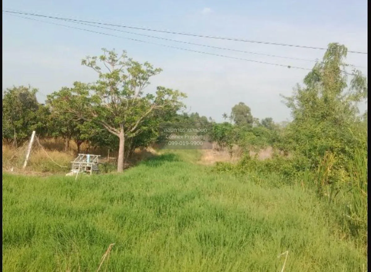 ขายที่ดินเปล่า อ.สามโก้ จ.อ่างทอง 5 ไร่ 1 งาน สามโก้ สามโก้ อ่างท 2