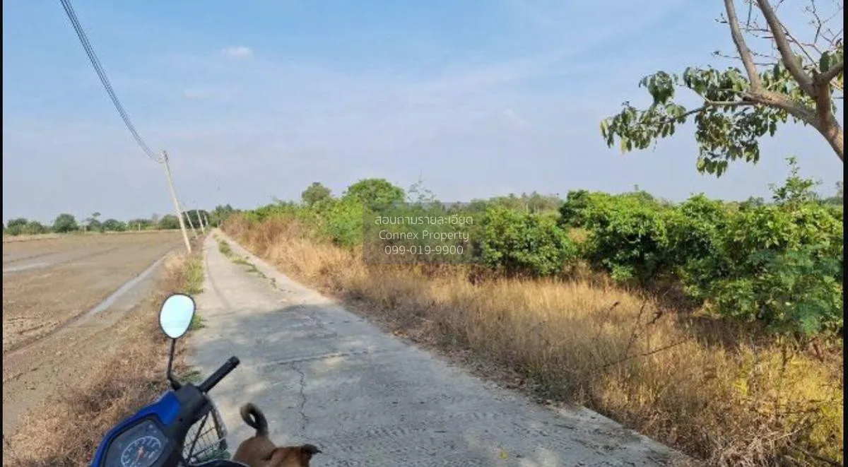 ขายที่ดินเปล่า อ.สามโก้ จ.อ่างทอง 5 ไร่ 1 งาน สามโก้ สามโก้ อ่างท