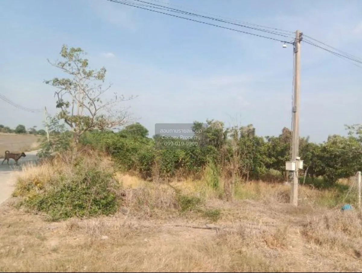 ขายที่ดินเปล่า อ.สามโก้ จ.อ่างทอง 5 ไร่ 1 งาน สามโก้ สามโก้ อ่างท