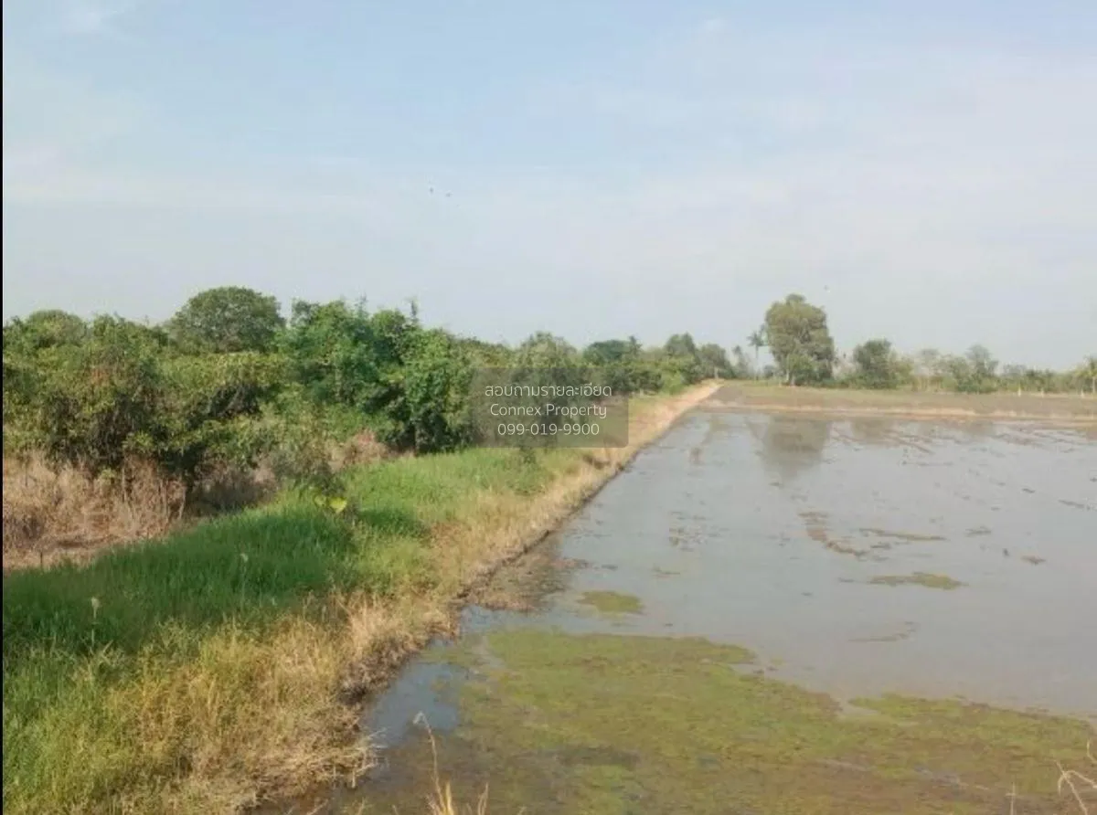 ขายที่ดินเปล่า อ.สามโก้ จ.อ่างทอง 5 ไร่ 1 งาน สามโก้ สามโก้ อ่างท