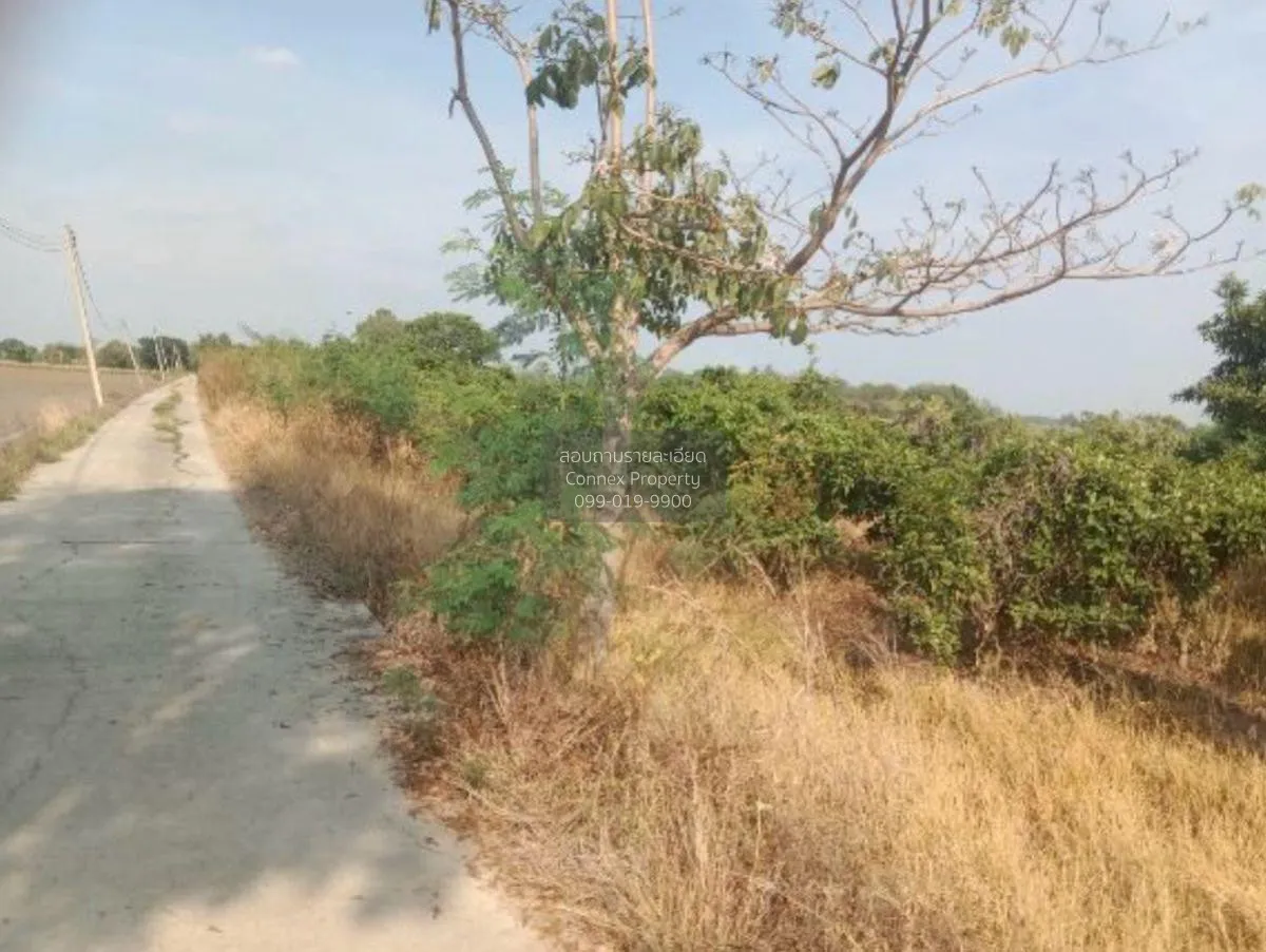 ขายที่ดินเปล่า อ.สามโก้ จ.อ่างทอง 5 ไร่ 1 งาน สามโก้ สามโก้ อ่างท