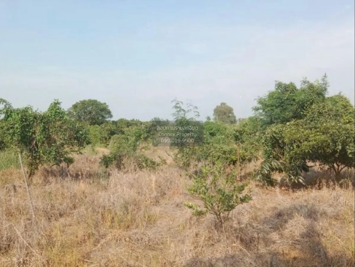 ขายที่ดินเปล่า อ.สามโก้ จ.อ่างทอง 5 ไร่ 1 งาน สามโก้ สามโก้ อ่างท