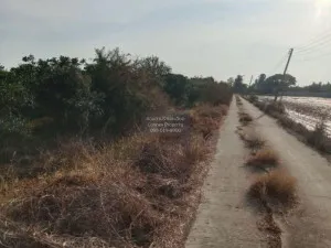 ขายที่ดินเปล่า อ.สามโก้ จ.อ่างทอง 5 ไร่ 1 งาน สามโก้ สามโก้ อ่างทอง CX-126067