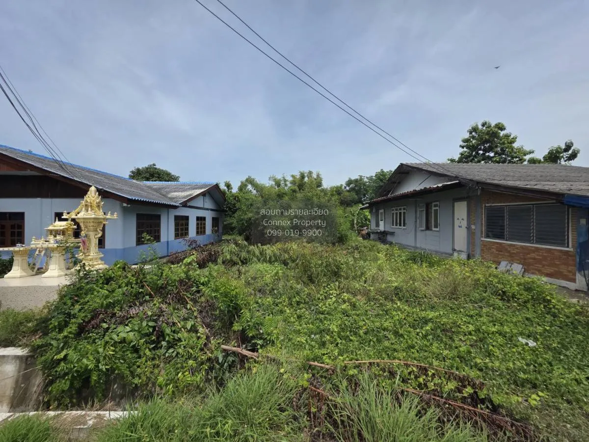 For Sale land area 1-3-90.7 Bang Sai Phra Nakhon Si Ayutthaya , B 3