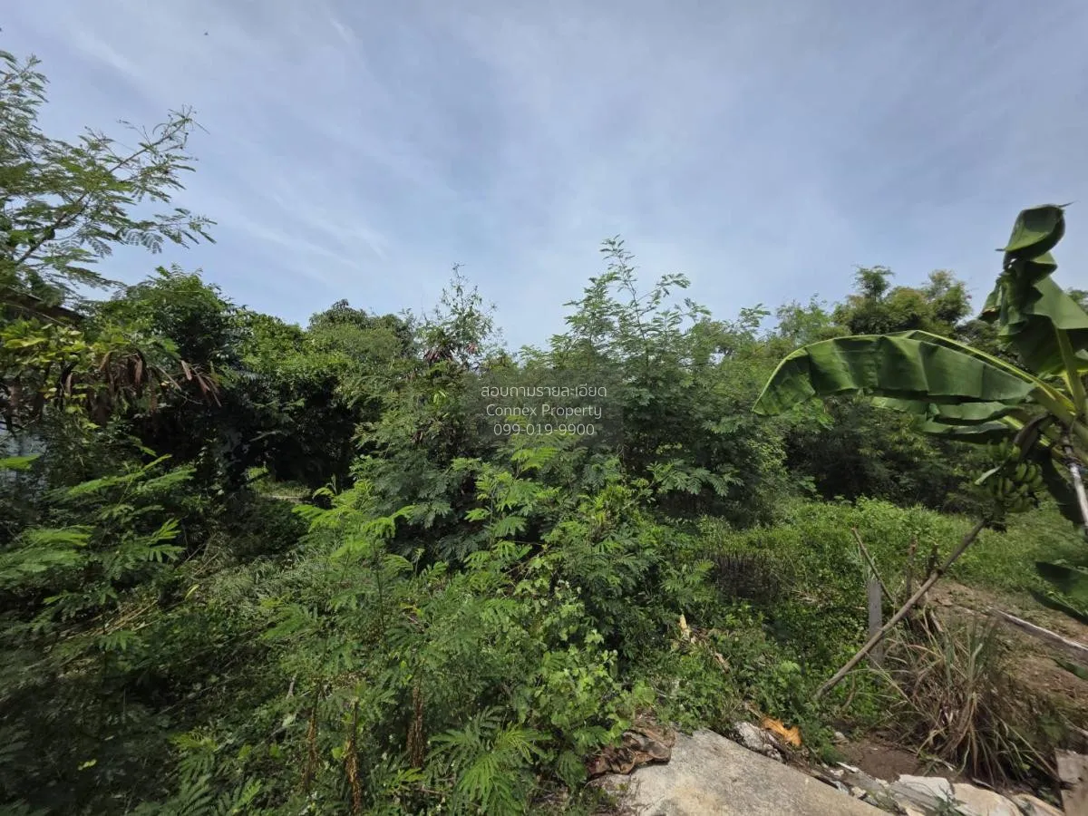 For Sale land area 1-3-90.7 Bang Sai Phra Nakhon Si Ayutthaya , B 4