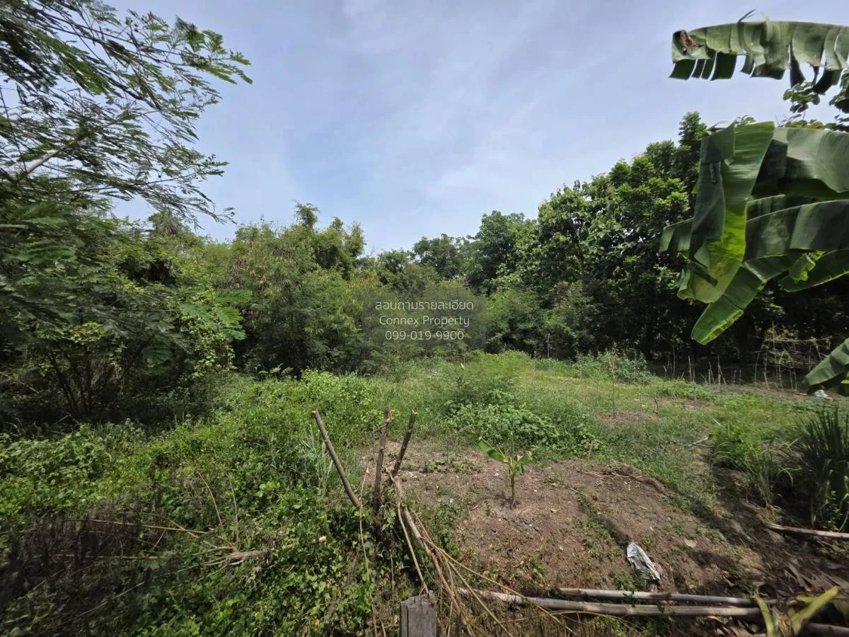 For Sale land area 1-3-90.7 Bang Sai Phra Nakhon Si Ayutthaya , B