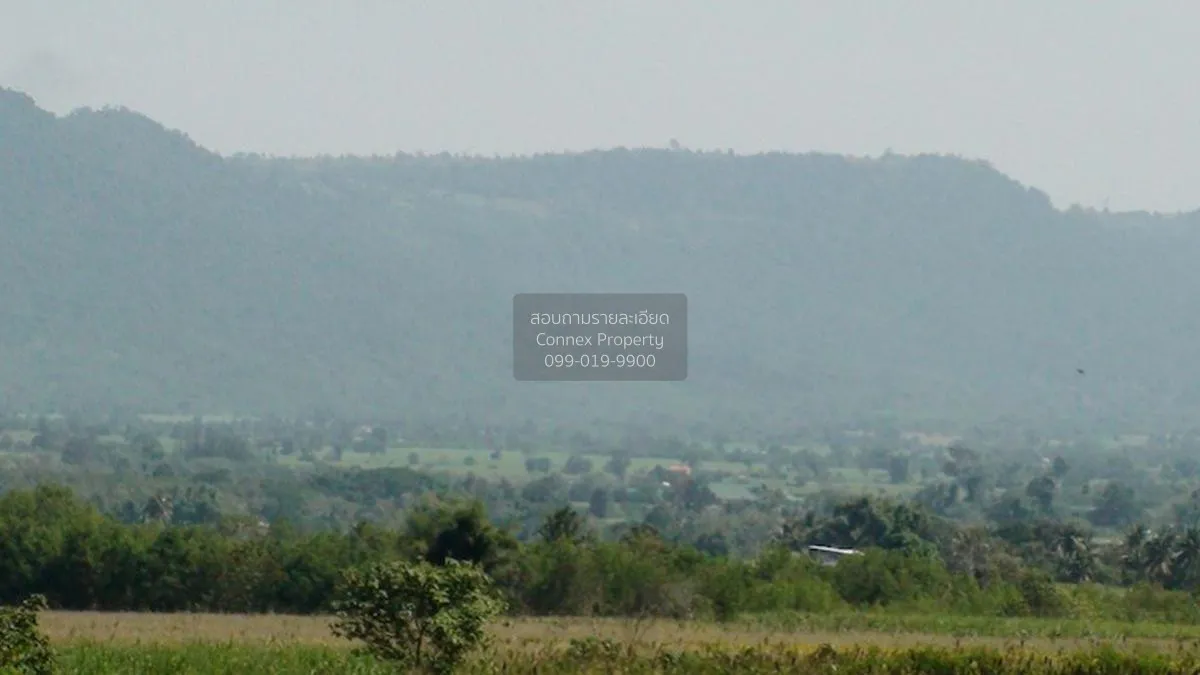 ขายที่ดินเปล่า 3 ไร่ 3 งาน 35 ตรว เขาใหญ่ วังไทร ปากช่อง นครราชสี 2