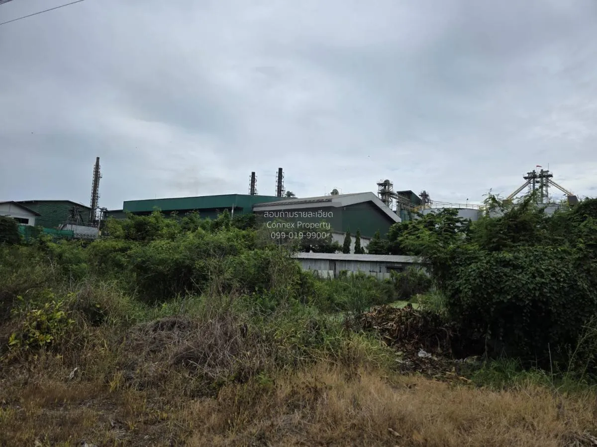 For Sale land area 1-0-29 square wa Nakhon Chai Si Nakhon Pathom  1