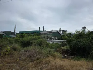 ขายที่ดินเปล่า พื้นที่ 1-0-29 ตารางวา นครชัยศรี นครปฐม ไทยาวาส นครชัยศรี นครปฐม CX-126278