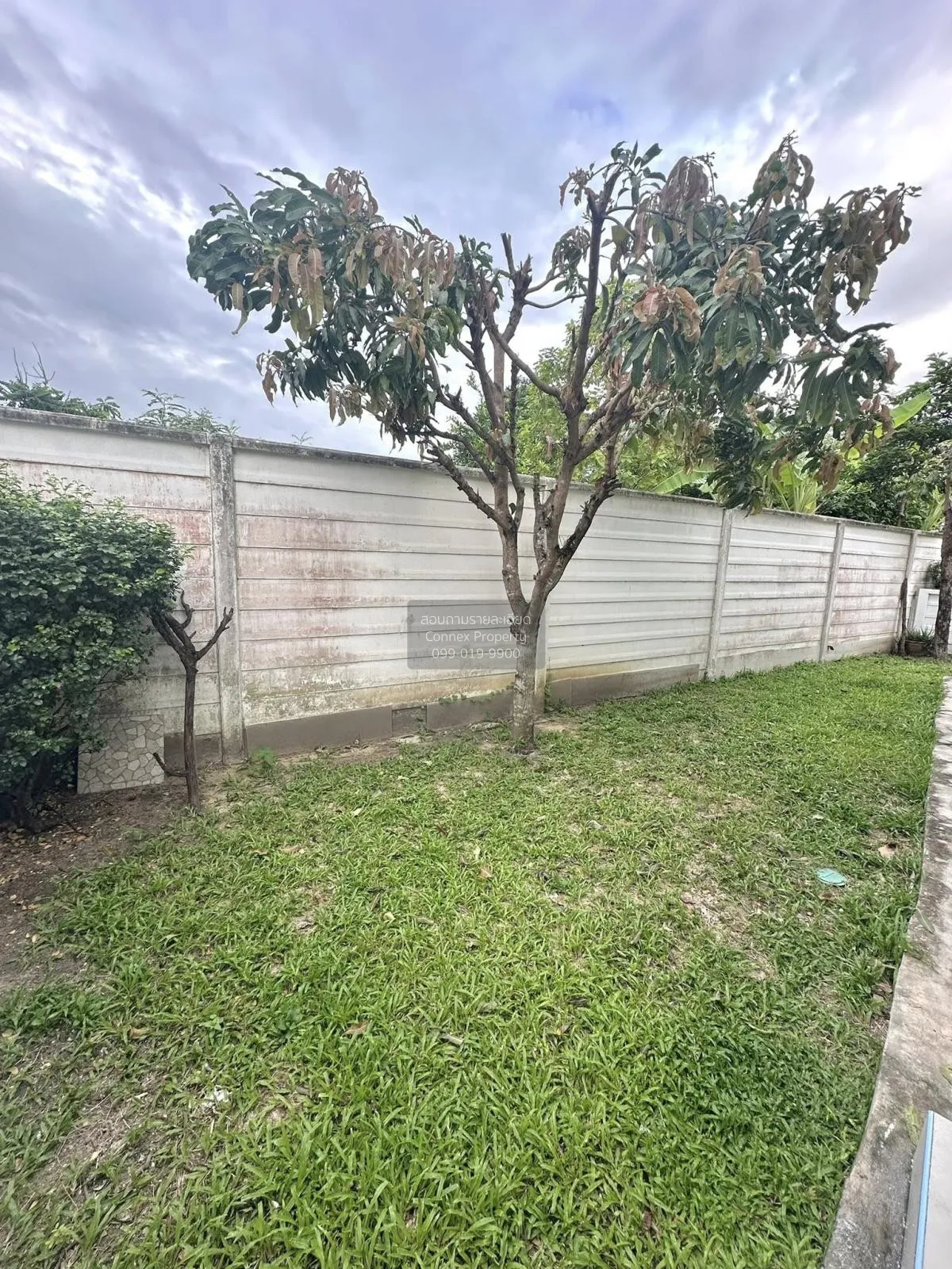 เช่าบ้าน  เดอะ วิลเลจ บางนา - วงแหวนฯ 2 ห้องมุม หน้ากว้าง บางพลีใ