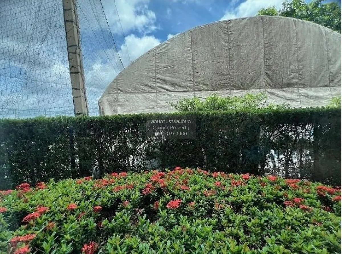 ขายคอนโด  มีสไตล์ @ สุขุมวิท-บางนา บางนา เขต บางนา กรุงเทพ CX-126