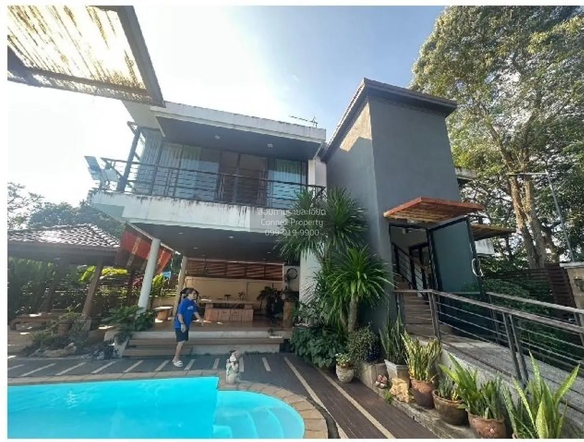 ขายบ้านเดี่ยว 2 ชั้น 159.4 ตรว. ถ.พลพิชัย หาดใหญ่ สงขลา หาดใหญ่ ห 2