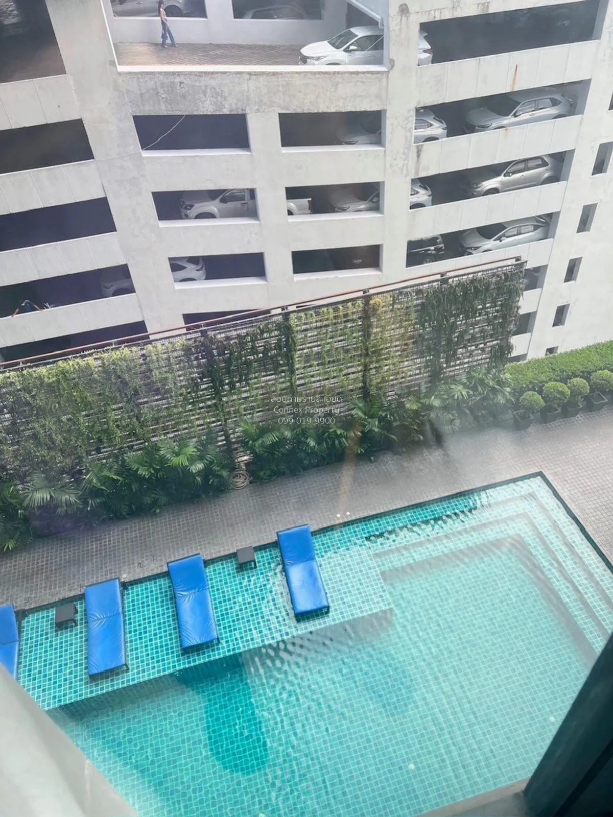 เช่าคอนโด  เมอเวนพิค เรสซิเดนซ์ คอนโด เอกมัย BTS-เอกมัย คลองตันเห