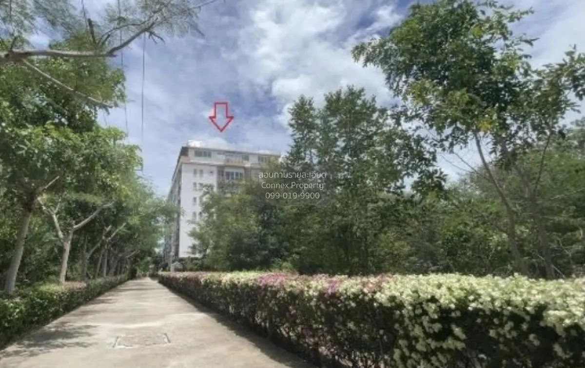 ขายคอนโด  หัวหิน บลูสกาย คอนโดมิเนียม ชะอำ ชะอำ เพชรบูรณ์ CX-1271 1