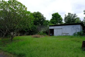 For Sale land area 5-1-44 Bang Pla Ma Suphan Buri , Khok Khram , Bang Pla Ma , Suphan Buri , CX-127139