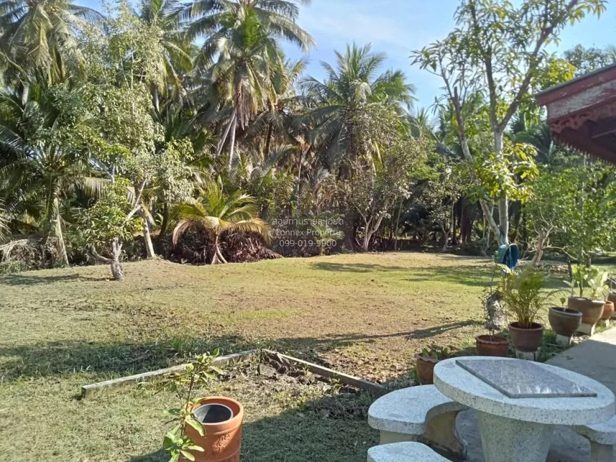 ขายบ้านเดี่ยวพร้อมที่ดิน 2ไร่27 ตร.วา  สมุทรสงคราม คลองเขิน เมือง