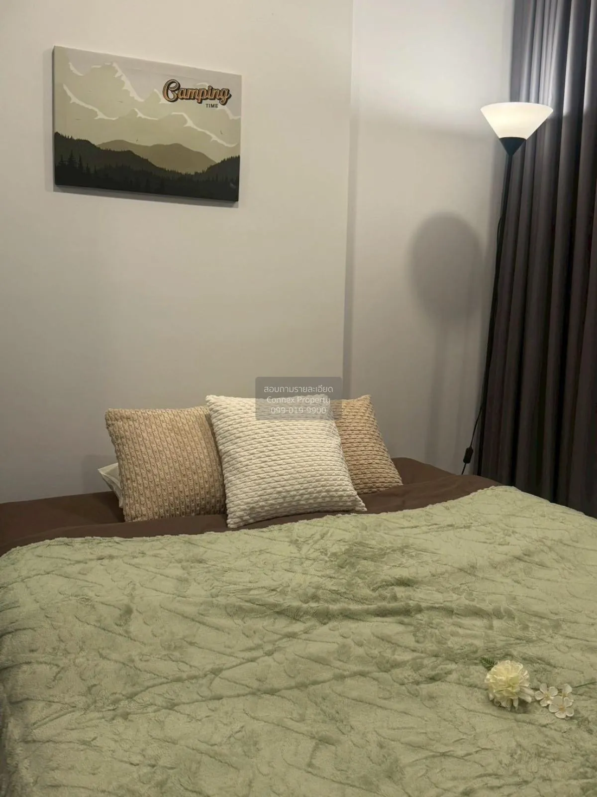 For Rent Condo , Modiz Sukhumvit 50 , BTS-On Nut , Phra Khanong ,