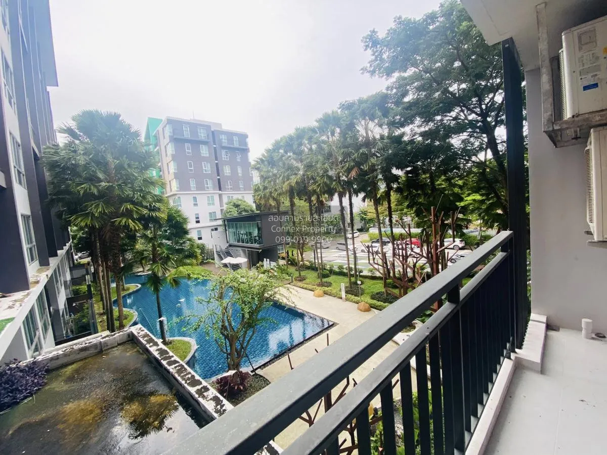 For Rent Condo , Natureza North Pattaya , Na Kluea , Bang Lamung 