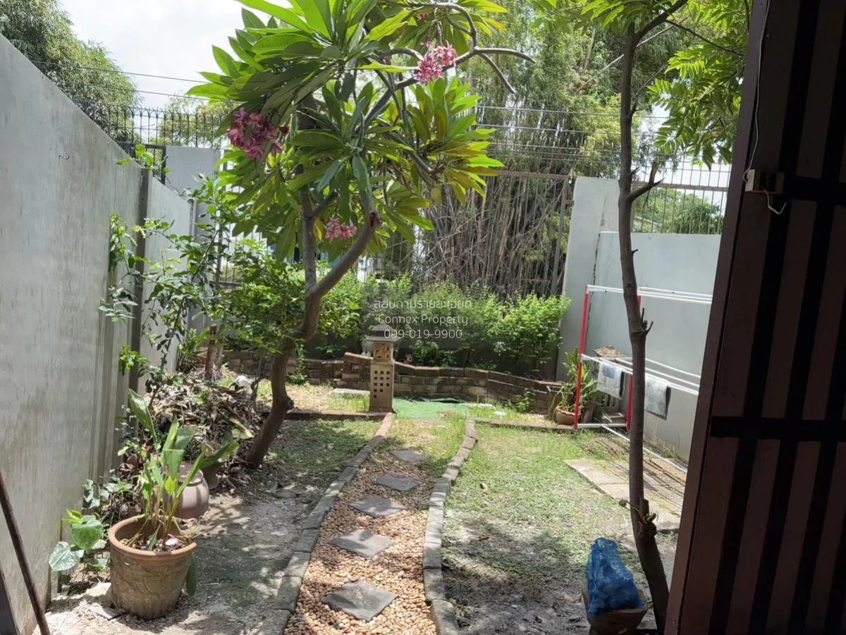 เช่าทาวน์เฮ้าส์/ทาวน์โฮม  พาทิโอ พัฒนาการ สวนหลวง เขต สวนหลวง กรุ