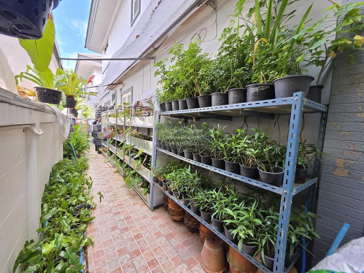 For Sale House , Tara Ratchaphruek-Pinklao , corner unit , Mahasa