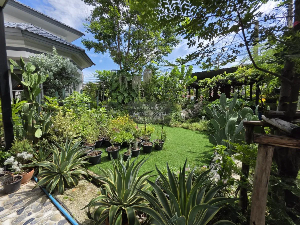 For Sale House , Tara Ratchaphruek-Pinklao , corner unit , Mahasa