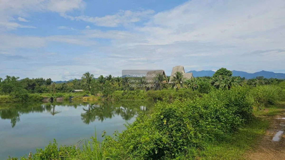 For Sale 200 rai of land next to the sea, Kaper District, Ranong  2