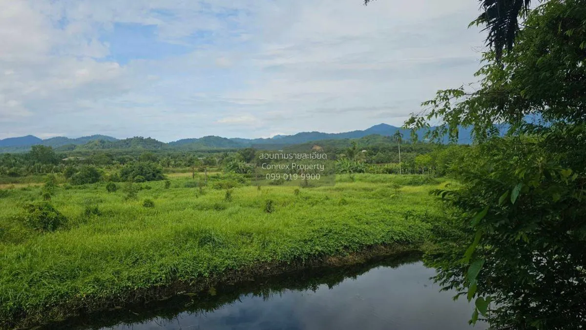 For Sale 200 rai of land next to the sea, Kaper District, Ranong  4