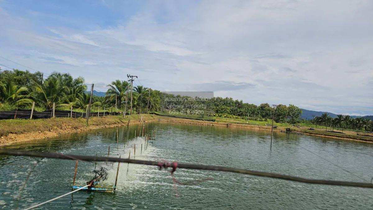 For Sale 200 rai of land next to the sea, Kaper District, Ranong 