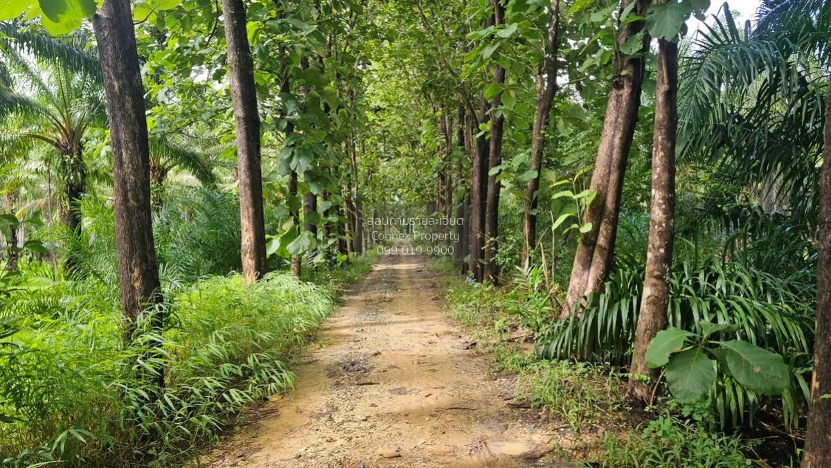 For Sale 200 rai of land next to the sea, Kaper District, Ranong 