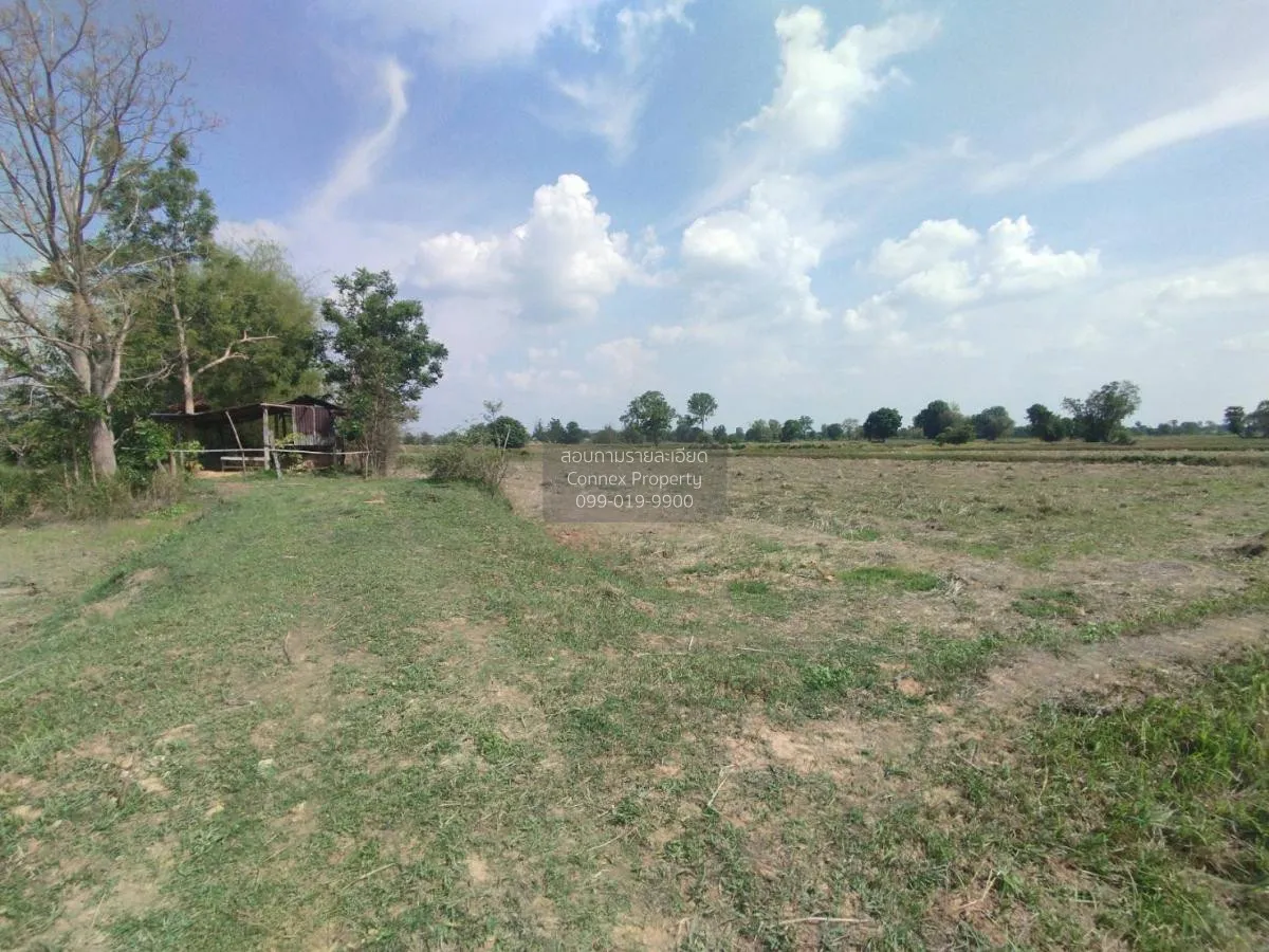 ขายที่นาเมืองพล​ ห่างถนนใหญ่​เพียงนิดเดียว​ เก่างิ้ว พล ขอนแก่น C 4