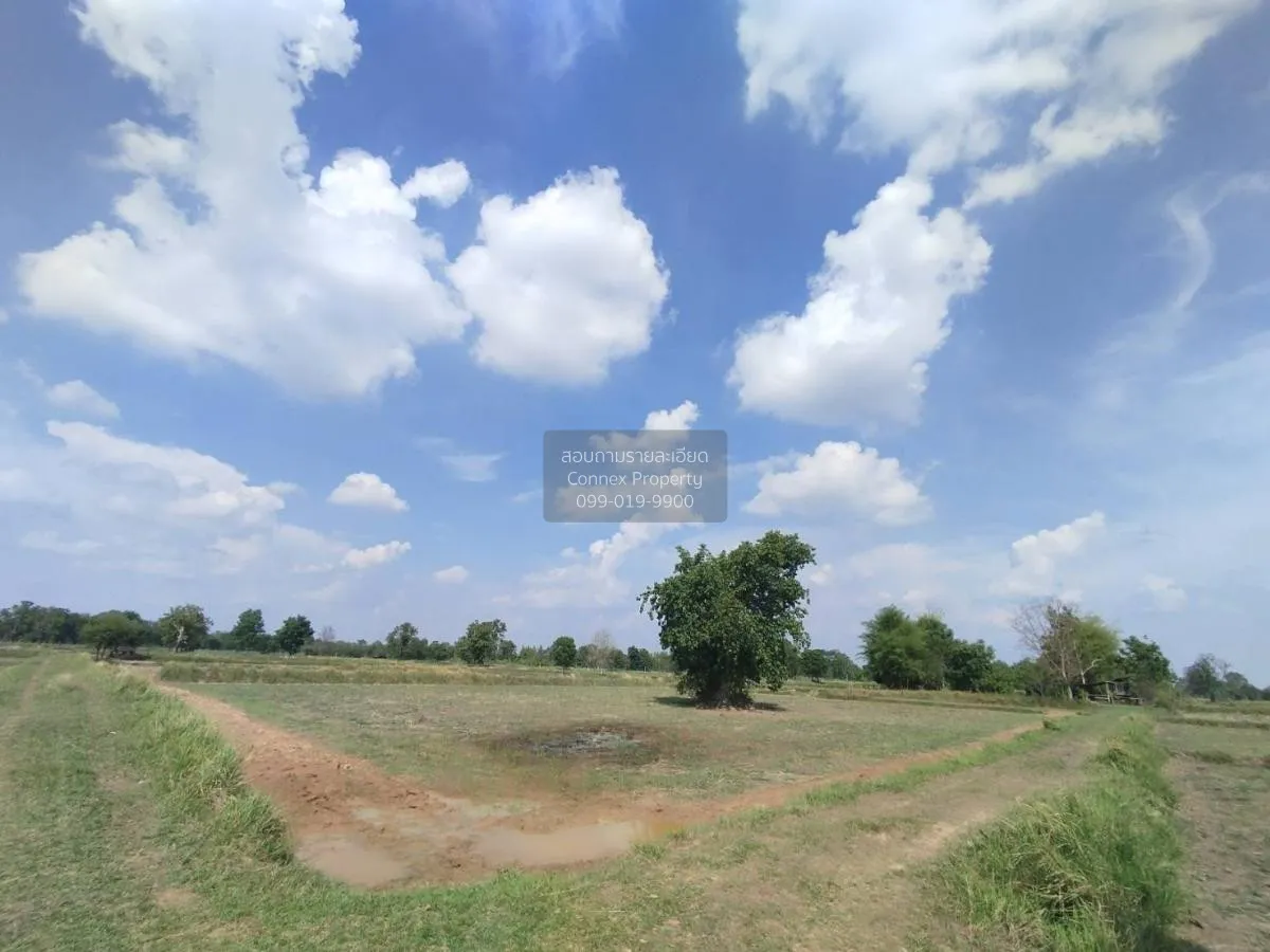 ขายที่นาเมืองพล​ ห่างถนนใหญ่​เพียงนิดเดียว​ เก่างิ้ว พล ขอนแก่น C