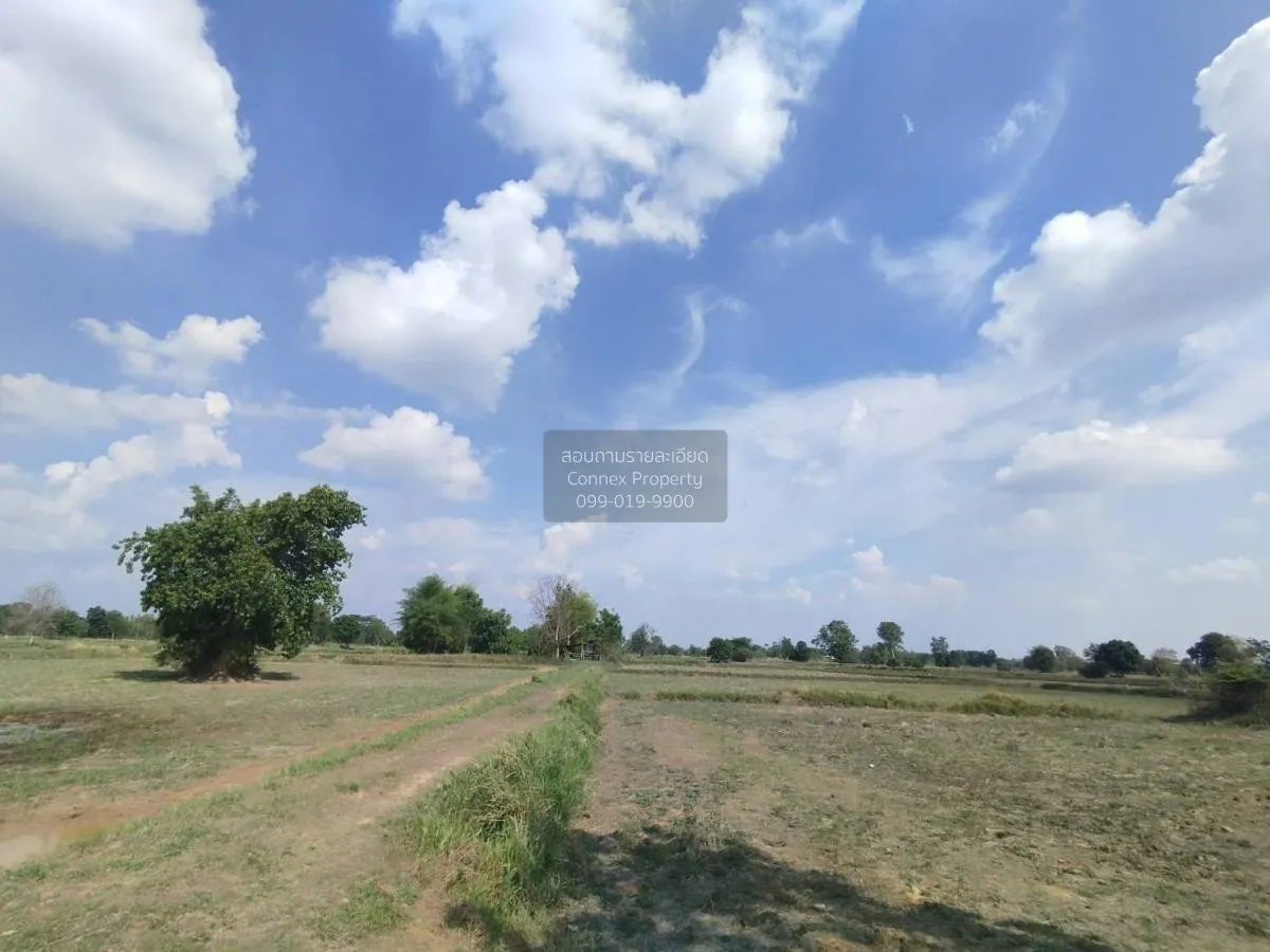 ขายที่นาเมืองพล​ ห่างถนนใหญ่​เพียงนิดเดียว​ เก่างิ้ว พล ขอนแก่น C