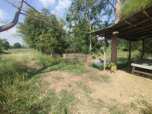 ขายที่นาเมืองพล​ ห่างถนนใหญ่​เพียงนิดเดียว​ เก่างิ้ว พล ขอนแก่น CX-128530