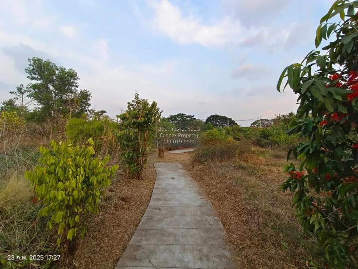 ขายที่ดินพร้อมสิ่งปลูกสร้าง พื้นที่ 3859 ตารางวา ไทรม้า นนทบุรี ไ